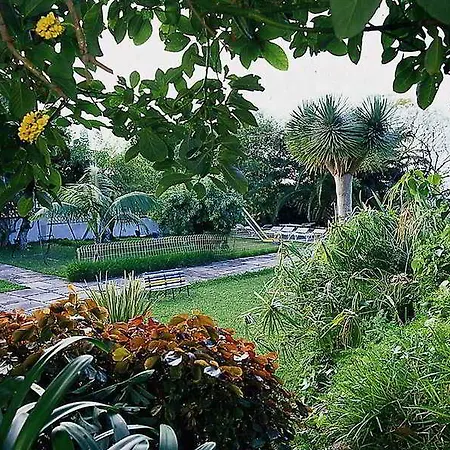 Internacional Hotel